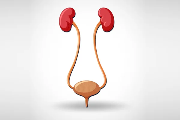 Female Urology