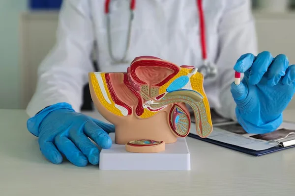 Andrology Care